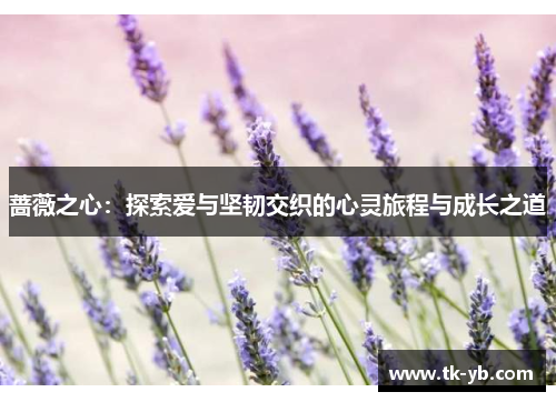 蔷薇之心：探索爱与坚韧交织的心灵旅程与成长之道